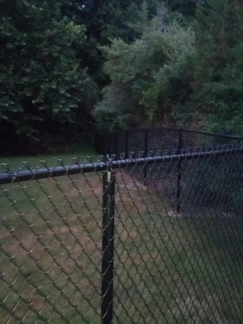 Black vinyl-coated chain link fence along a wooded boundary