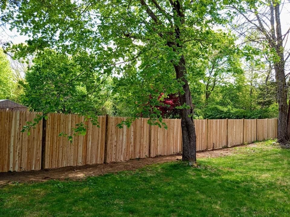 Cedar picket fence running beneath mature back-yard trees