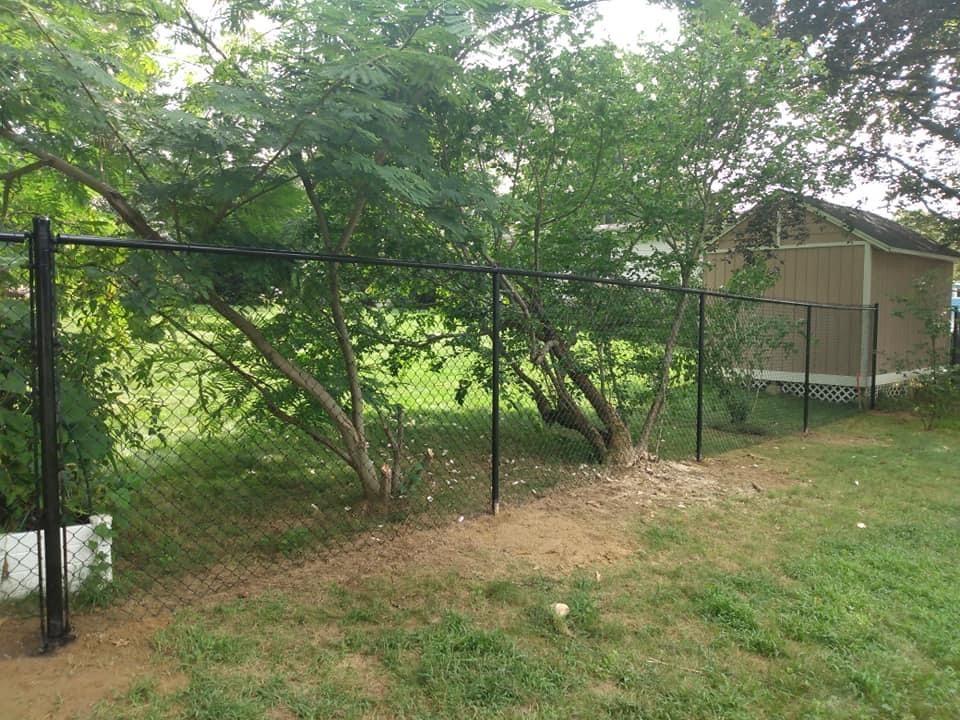 Chain link fence across a tree-lined garden boundary