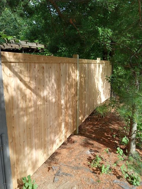 Freshly installed cedar privacy fence with clean unweathered boards